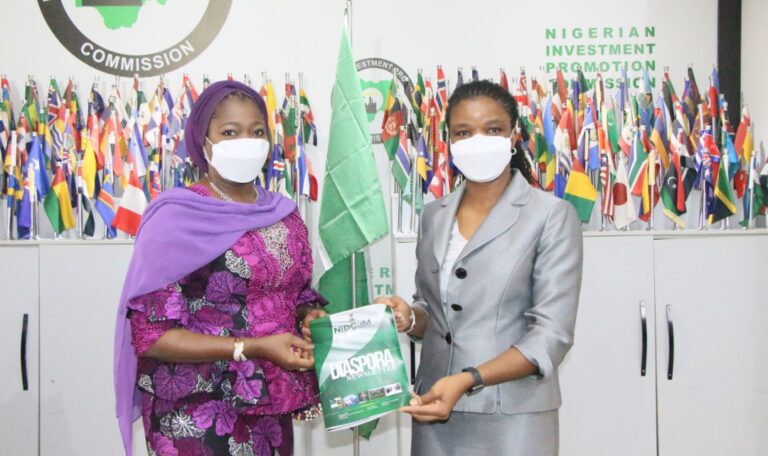 Nidcom DIASPORA INVESTMENT: NIDCOM, NIPC SYNERGISE – Nigerians in Diaspora ...