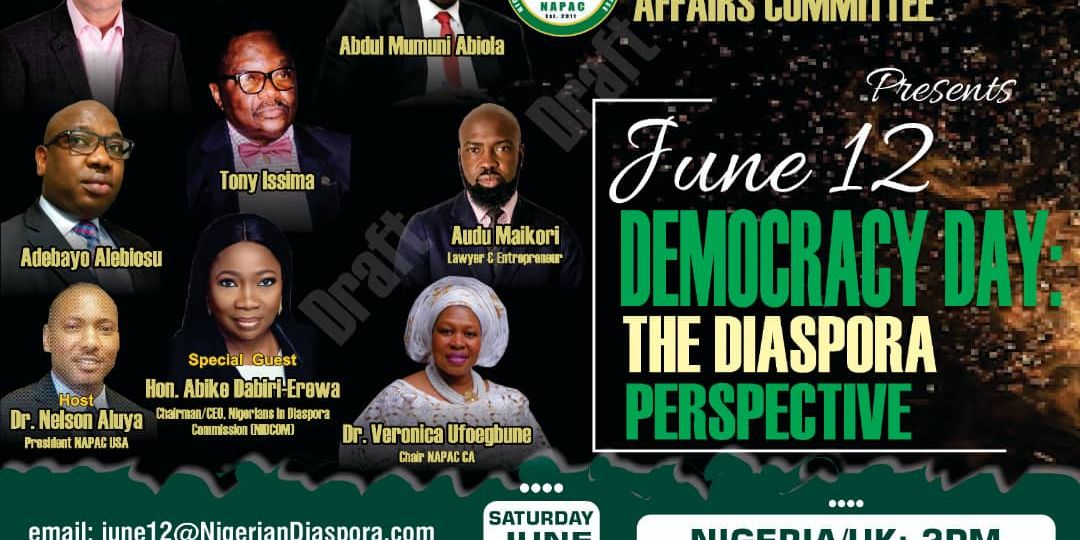 democracy day diaspora perspective