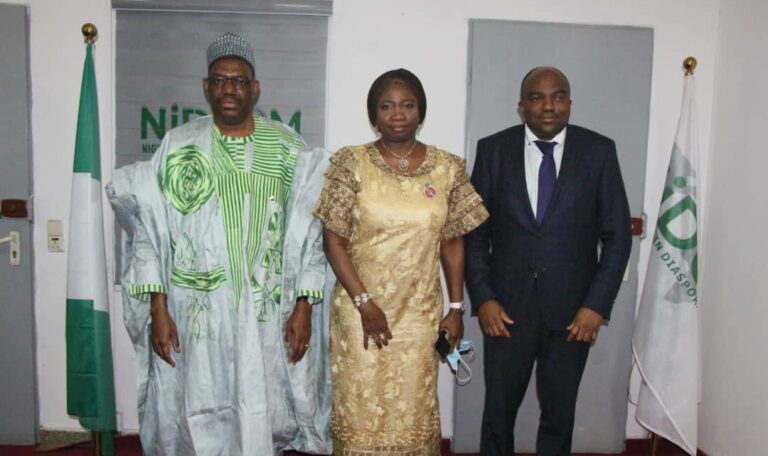 Nidcom NiDCOM, NIDO Russia call for more Diaspora Investment – Nigerians in ...