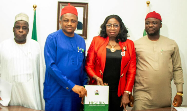 Nidcom HOUSE COMMITTEE ON DIASPORA APPLAUDS NIDCOM IN 5 YEARS – Nigerians in ...