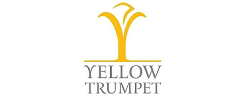 4. yellow-trumpet