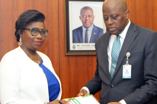 Dabiri-Erewa Applauds Cardoso On Launch of Non-Resident Nigerian Accounts