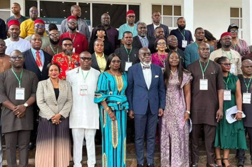 Enugu Creates Diaspora Desks Across Local Government, As NiDCOM Holds Diaspora Advocacy Investment Summit in South-East