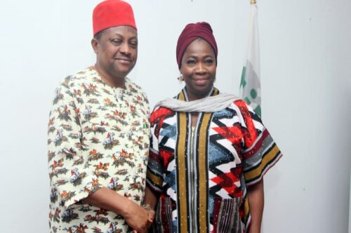 REPS COMMITTEE ON DIASPORA ASSURES ON IMPROVED FUNDING FOR NiDCOM