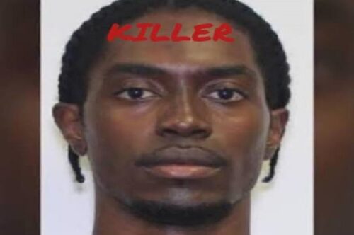 NiDCOM COMMENDS LIFE SENTENCE IN CANADA FOR KILLER OF TWO NIGERIAN YOUTH